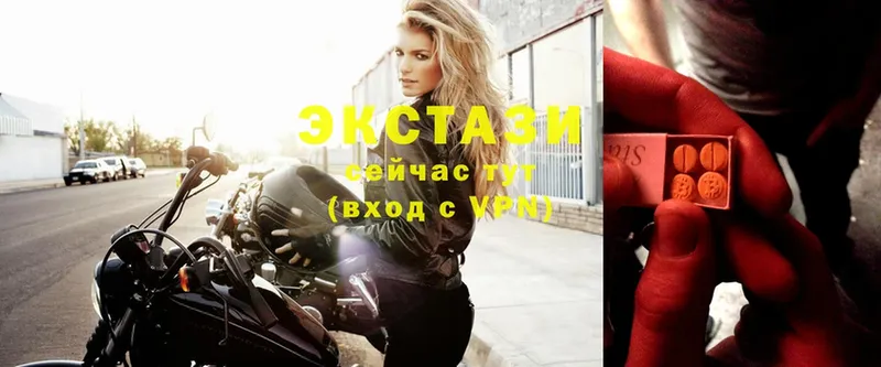 Ecstasy Philipp Plein  Болгар 